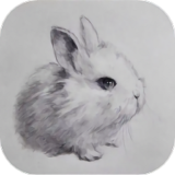 素描绘画技巧手机版下载 v1.1