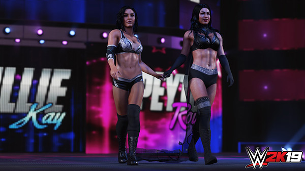 WWE2K19修改器通用版下载 v1.0 WWE2K19修改器通用版下载 v1.0